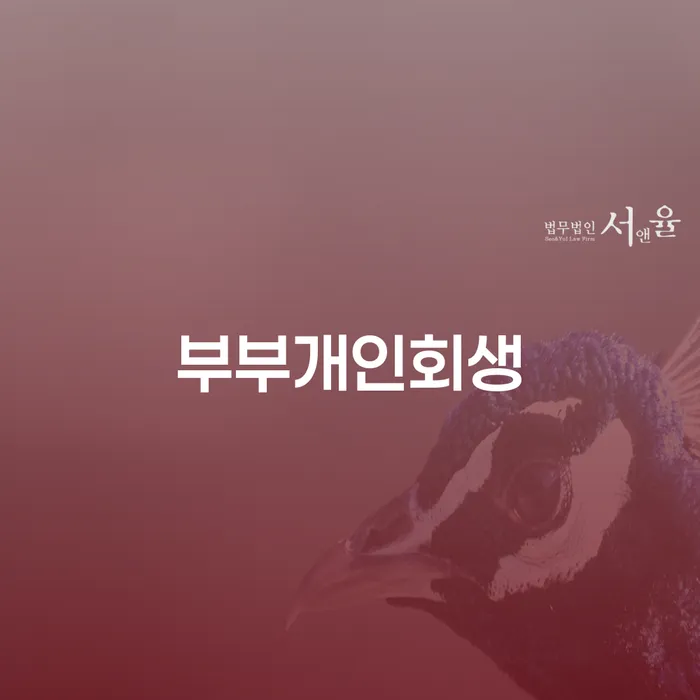 채무자대리인제도 개인회생으로 방법 확인해요