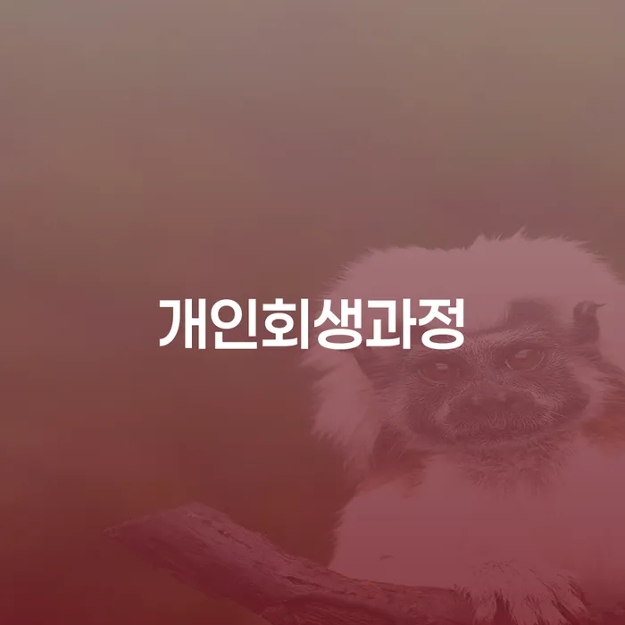 대한재무 개인회생으로 현명하게 중요 포인트