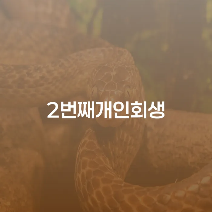 개인파산신고 빚 합법적인 빠른방법 결정이나고
