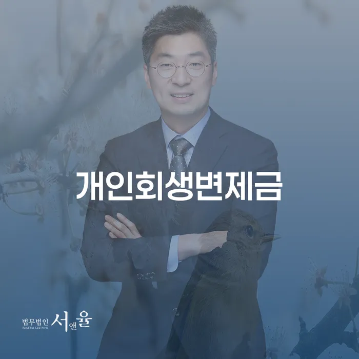 신용카드빚 개인회생 제도 선택을 어떻게..