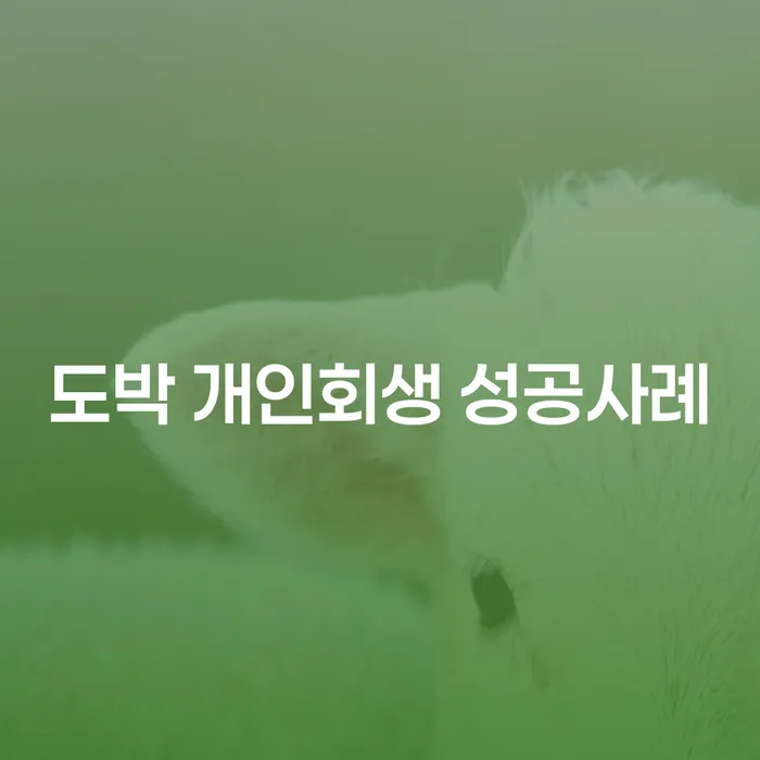 파산면책 추심 대응법 간편비교