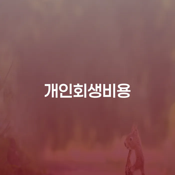 광주 개인회생비용저렴한곳 추심 대응법 노하우들