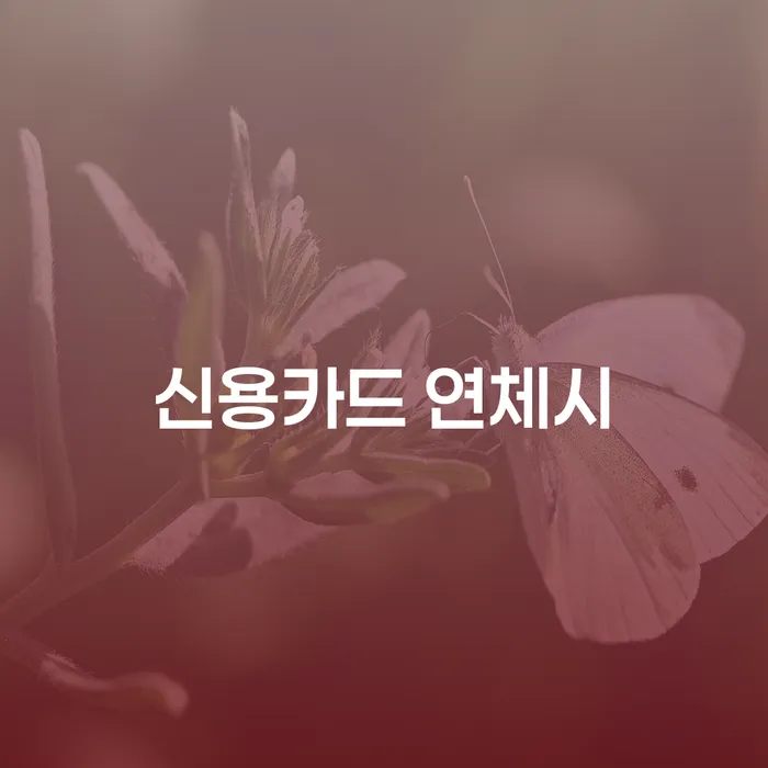 영천시 개인회생수수료 빚갚는 방법 상담으로 확인하고