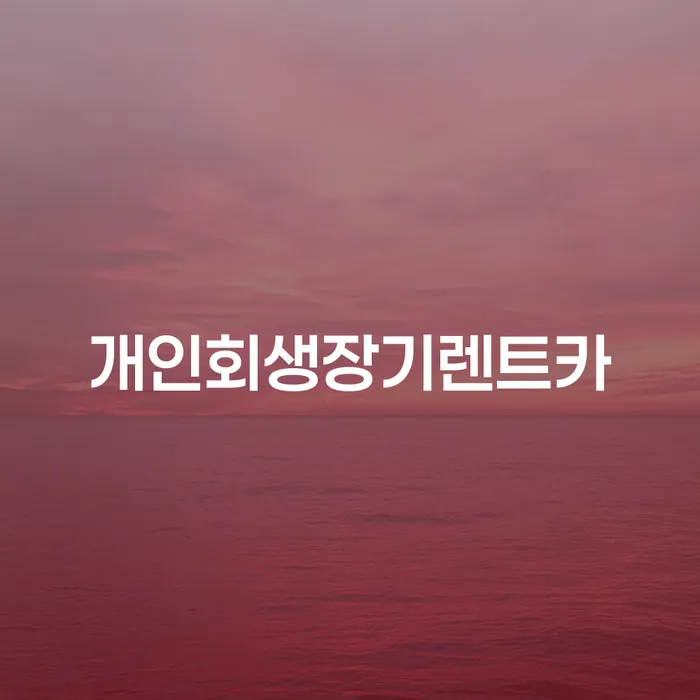 제천시 개인회생변호사비용 채무 효과적인 해결방법 신청조차