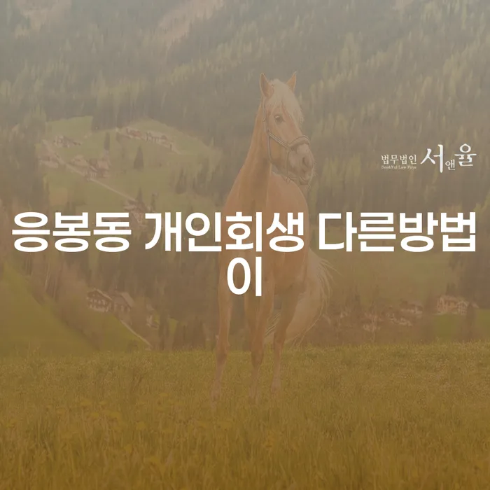 응봉동 개인회생 다른방법이