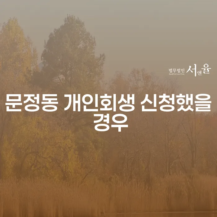 문정동 개인회생 신청했을 경우