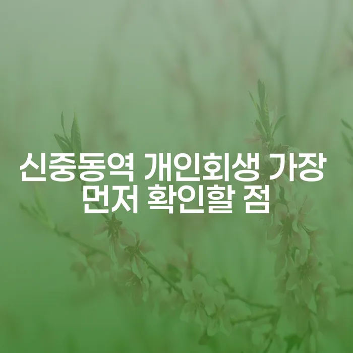 신중동역 개인회생 가장 먼저 확인할 점