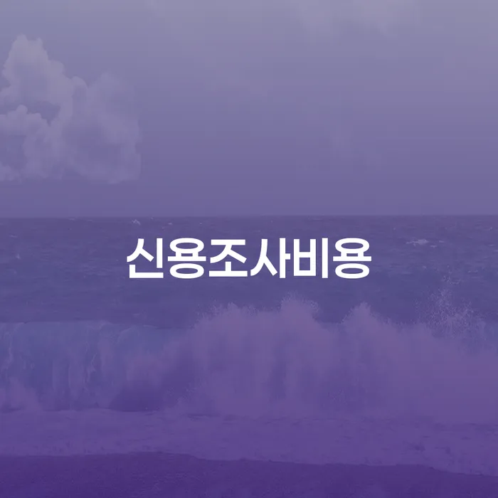 신용조사비용과 개인회생, 정말 필요한가요?