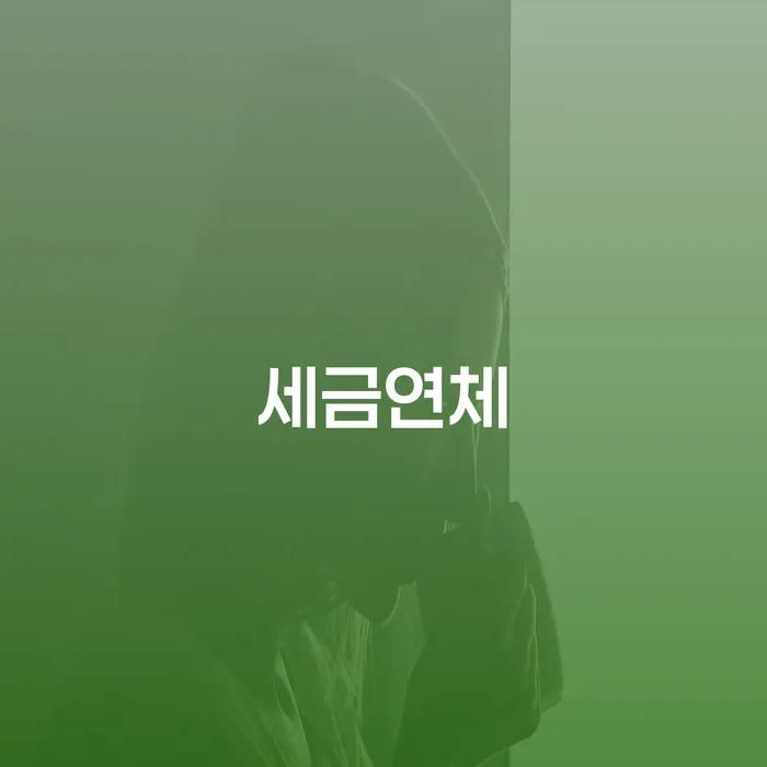 세금연체와 개인회생: 어떻게 해결할 수 있을까요?