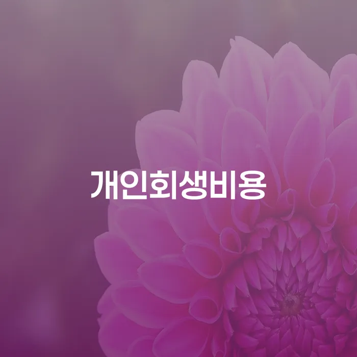 개인회생비용, 남양주시 도산전문변호사 도움으로 해결할 수 있을까?